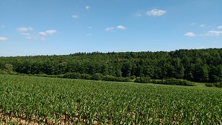 Foto Muehlenbach Schluchtentour